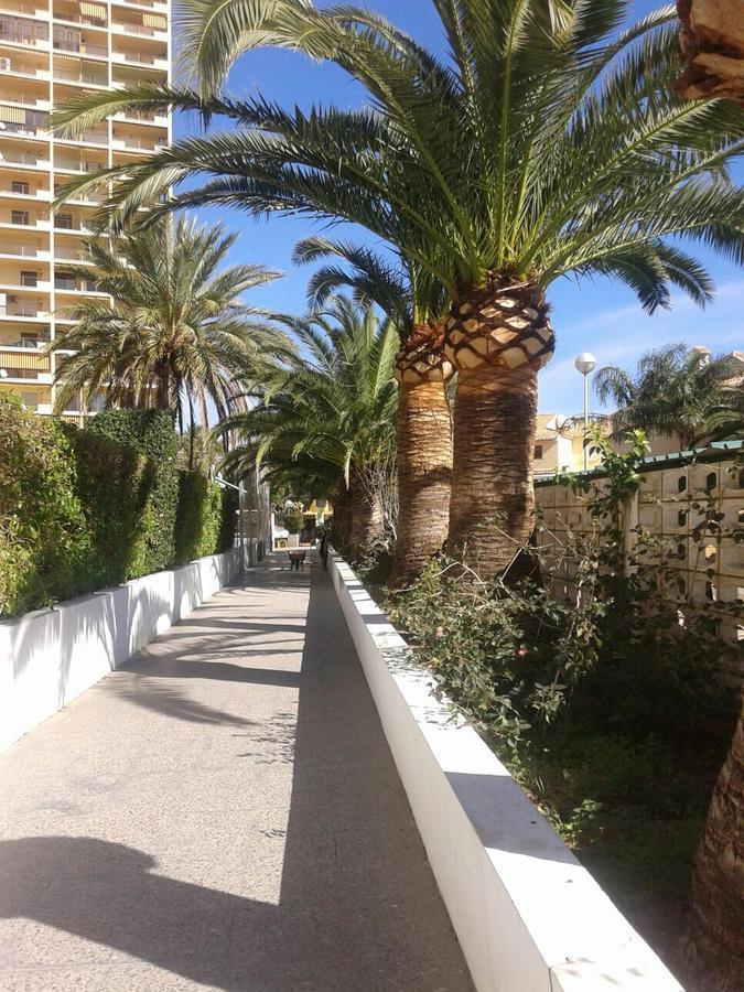 Apartamento Puigval Dış mekan fotoğraf